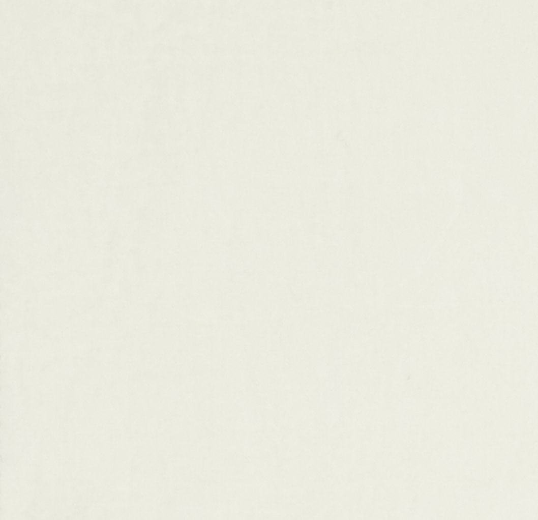 Essential Percale Sheet Set